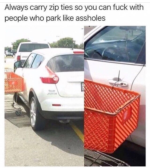 people park like assholes - Always carry zip ties so you can fuck with people who park assholes