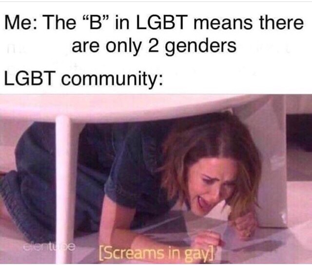 savage meme fortnite kid meme - Me The B in Lgbt means there are only 2 genders Lgbt community elentue Screams in gay