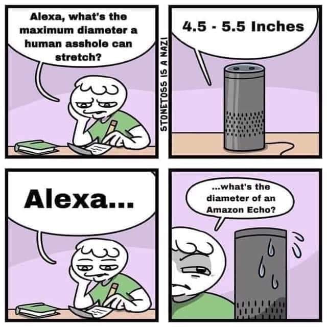 stonetoss comics - Alexa, what's the maximum diameter a human asshole can stretch? make teme 4.5 5.5 Inche 4.5 5.5 Inches Stonetoss Is A Nazi Alexa... ...what's the diameter of an Amazon Echo?