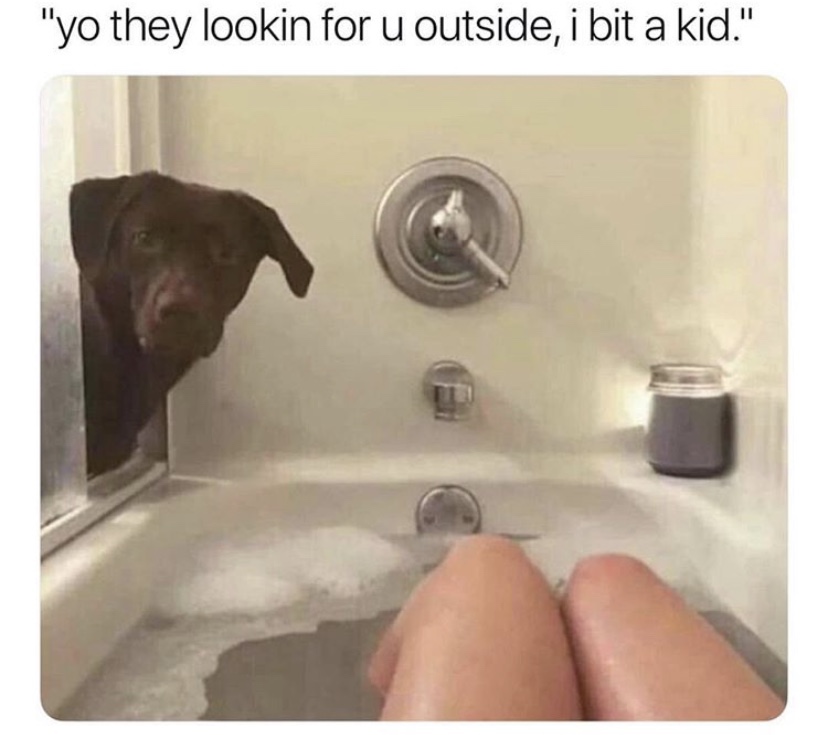 Meme - "yo they lookin for u outside, i bit a kid."
