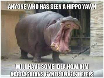 fishy meme - Anyone Who Has Seen A Hippo Yawn Will Have Some Idea How Kim Kardashians Gynecologist Feels