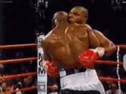 mike tyson knockouts gif - Fe