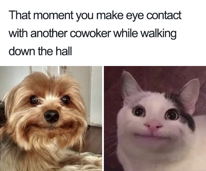 filipino freethinkers - That moment you make eye contact with another cowoker while walking down the hall