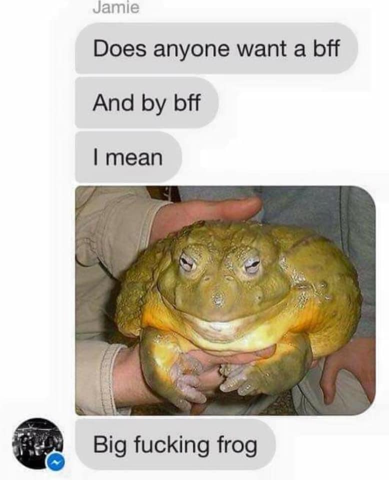 big frog meme - Jamie Does anyone want a bff And by bff I mean Big fucking frog