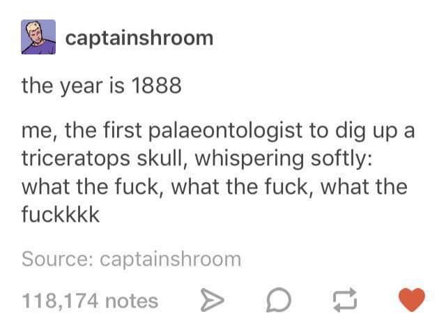 document - captainshroom the year is 1888 me, the first palaeontologist to dig up a triceratops skull, whispering softly what the fuck, what the fuck, what the fuckkkk Source captainshroom 118,174 notes > D