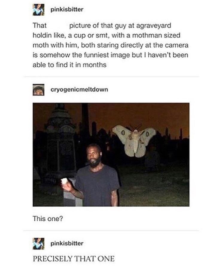 mc ride moth - pinkisbitter That picture of that guy at agraveyard holdin , a cup or smt, with a mothman sized moth with him, both staring directly at the camera is somehow the funniest image but I haven't been able to find it in months cryogenicmeltdown