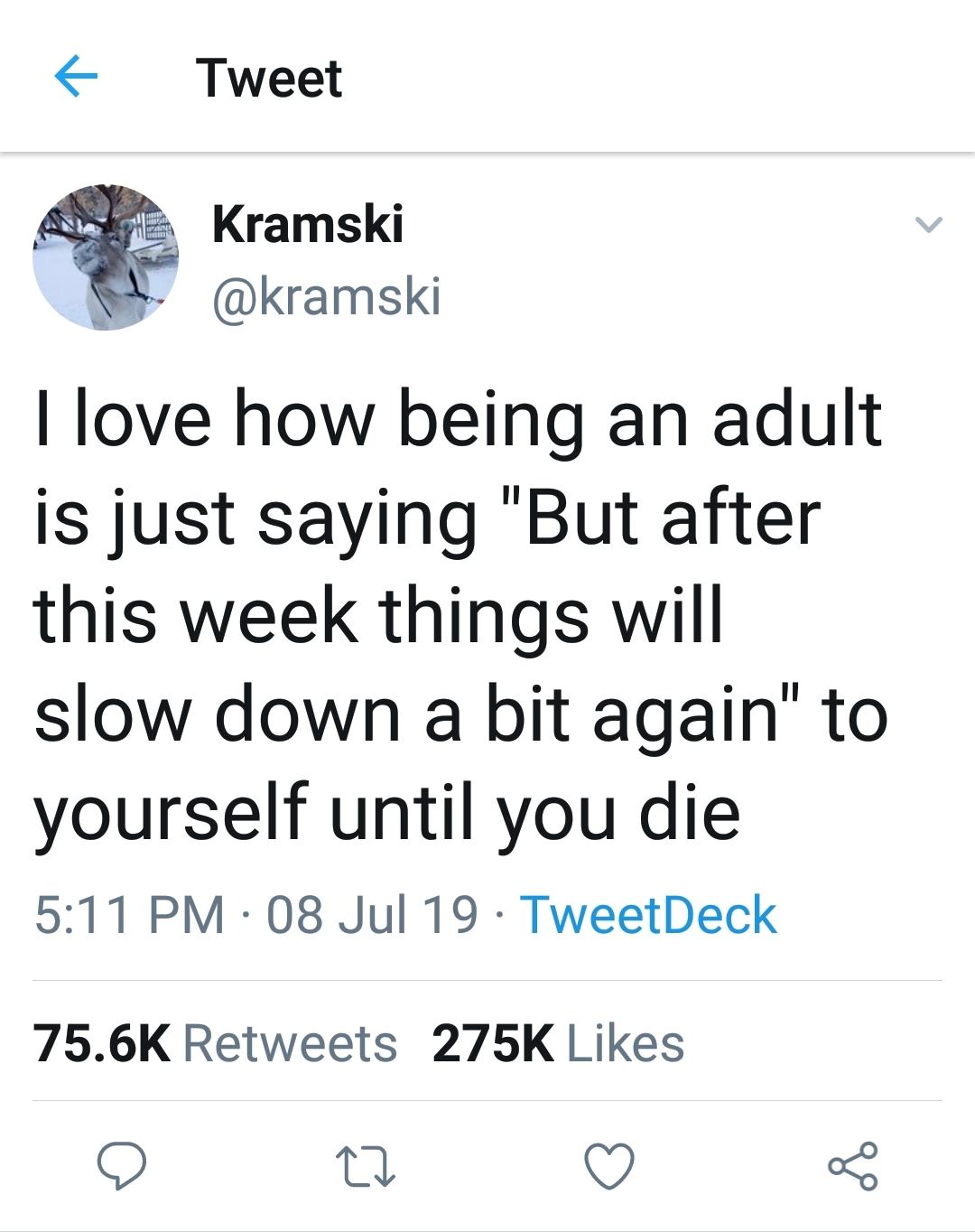angle - Tweet Ana Kramski I love how being an adult is just saying "But after this week things will slow down a bit again" to yourself until you die 08 Jul 19 . TweetDeck