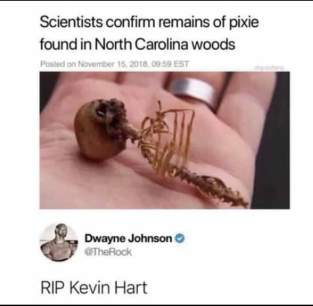 rip kevin hart meme - Scientists confirm remains of pixie found in North Carolina woods Posted on , Est Dwayne Johnson Dwayn Rip Kevin Hart
