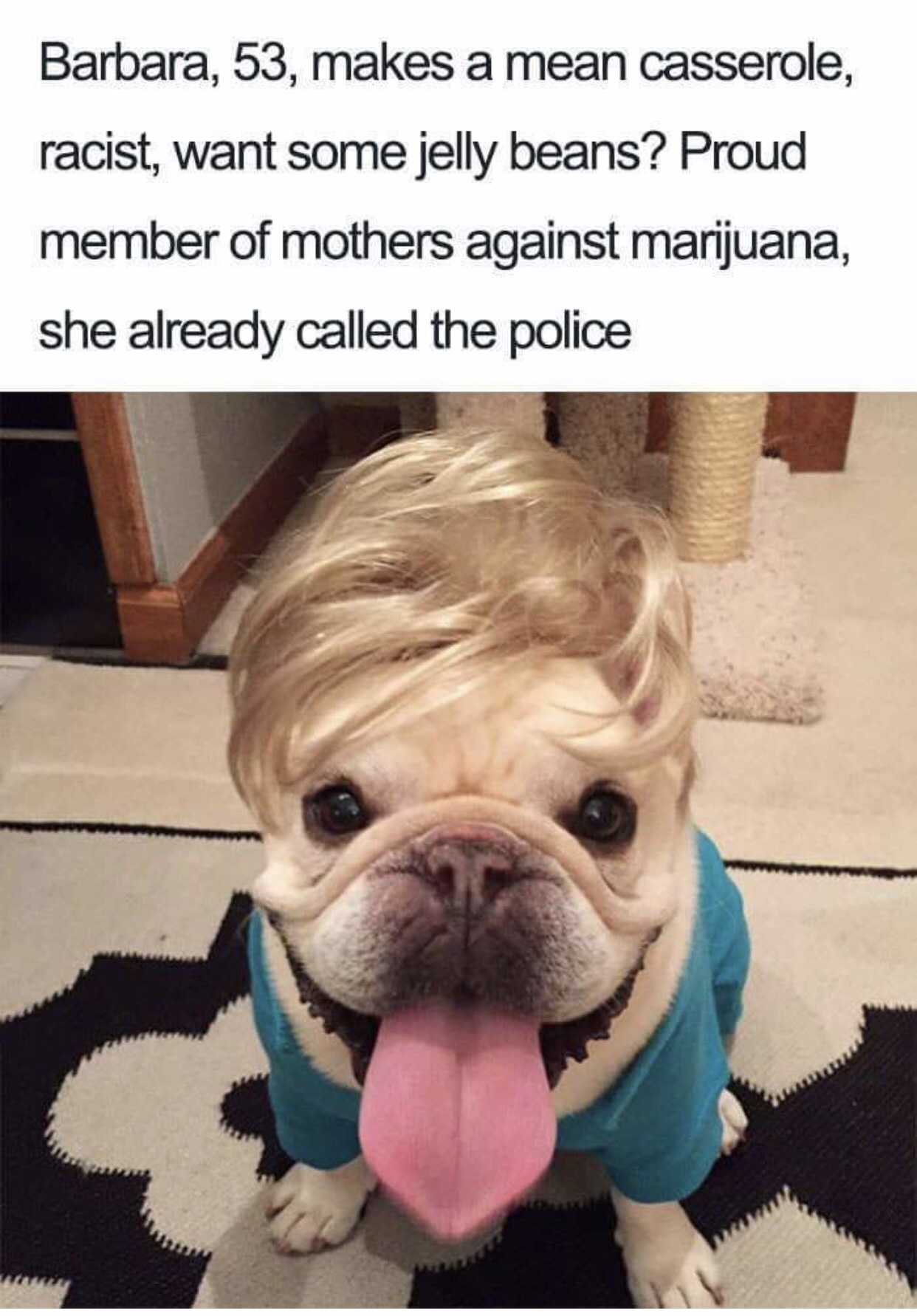dog bios - Barbara, 53, makes a mean casserole, racist, want some jelly beans? Proud member of mothers against marijuana, she already called the police