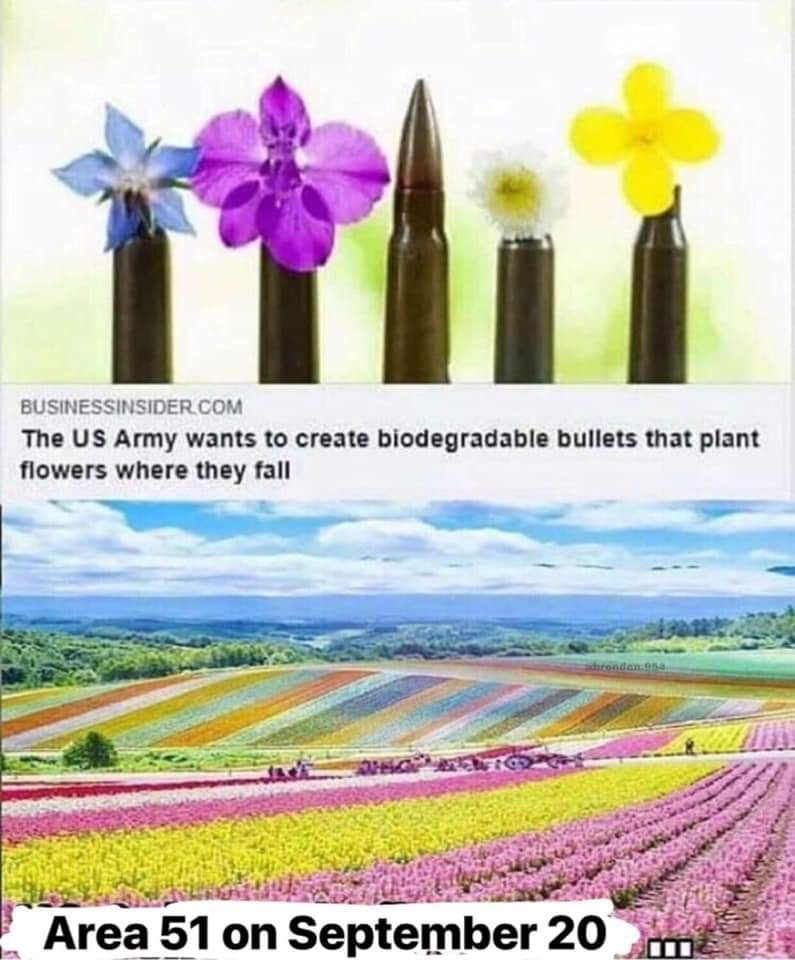 bullets to flowers meme - Businessinsider.Com The Us Army wants to create biodegradable bullets that plant flowers where they fall Area 51 on September 20