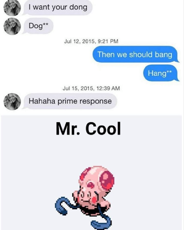 me mr cool you farto - I want your dong Dog , Then we should bang Hang , Hahaha prime response Mr. Cool