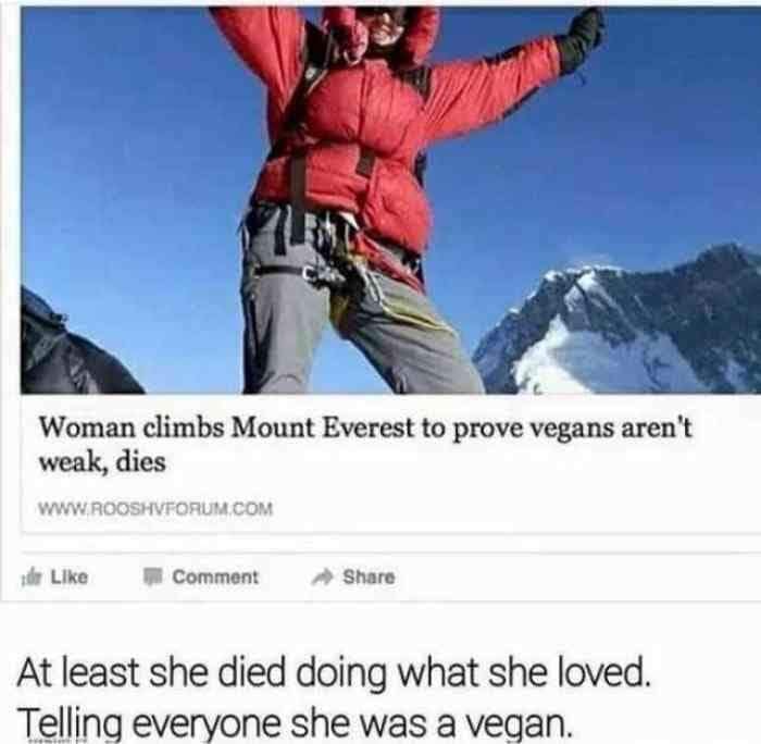 mount everest meme - Woman climbs Mount Everest to prove vegans aren't weak, dies zile Comment At least she died doing what she loved. Telling everyone she was a vegan.