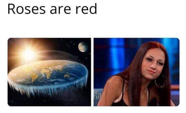 roses are red flat earth meme - Roses are red