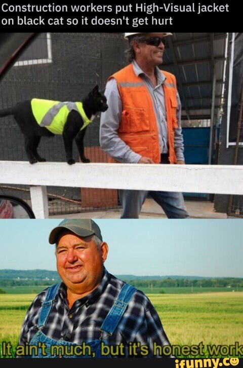 honest work meme - Construction workers put HighVisual jacket on black cat so it doesn't get hurt It ain't much, but it's honest work ifunny.co