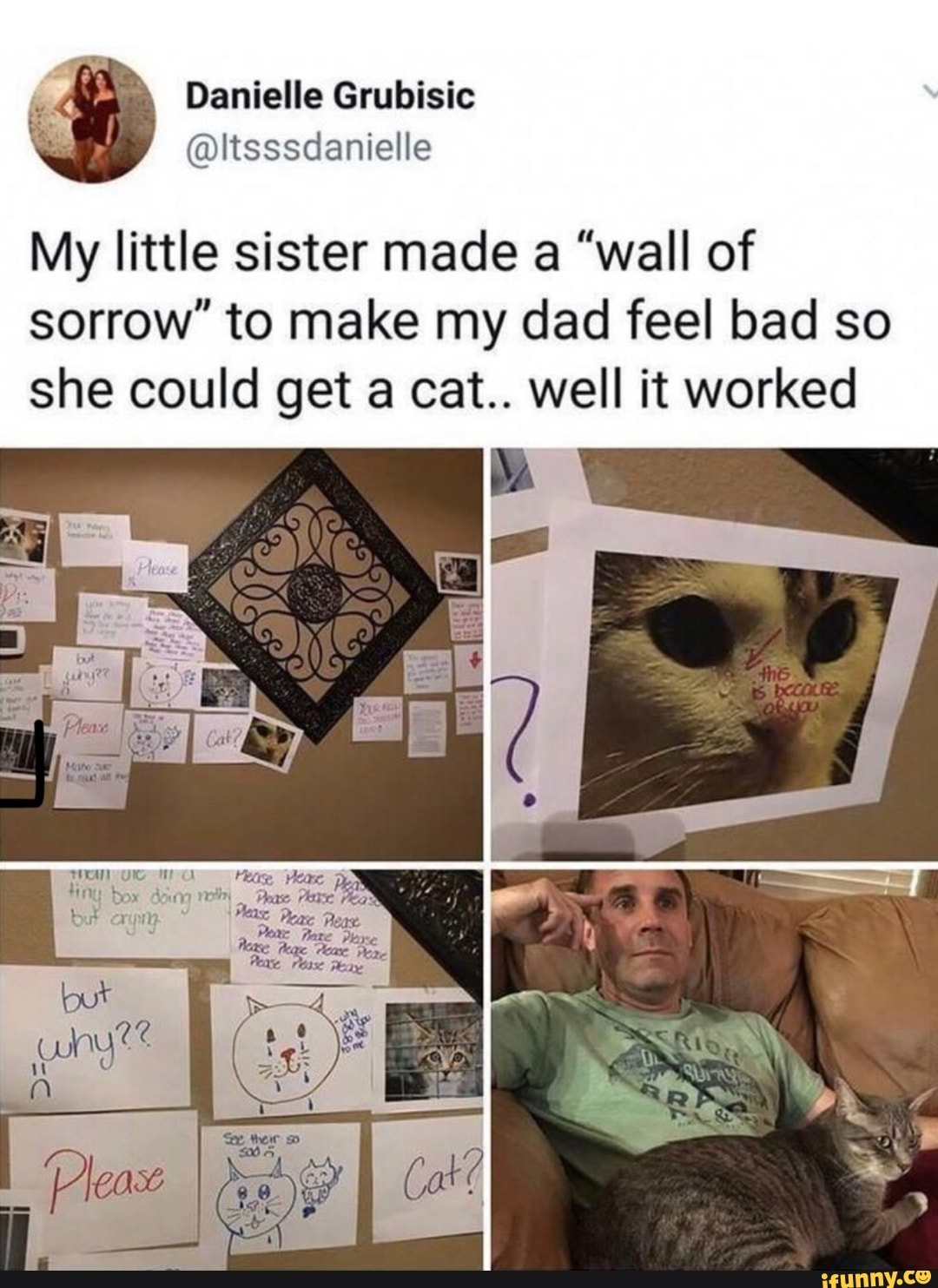 wall of sorrow to get a cat - Danielle Grubisic My little sister made a "wall of sorrow to make my dad feel bad so she could get a cat.. well it worked Oy Cas Please the Bb Cache Orku Pleas Tuturo Precise Please pre fint box doing nothi. Dease Planse Peas