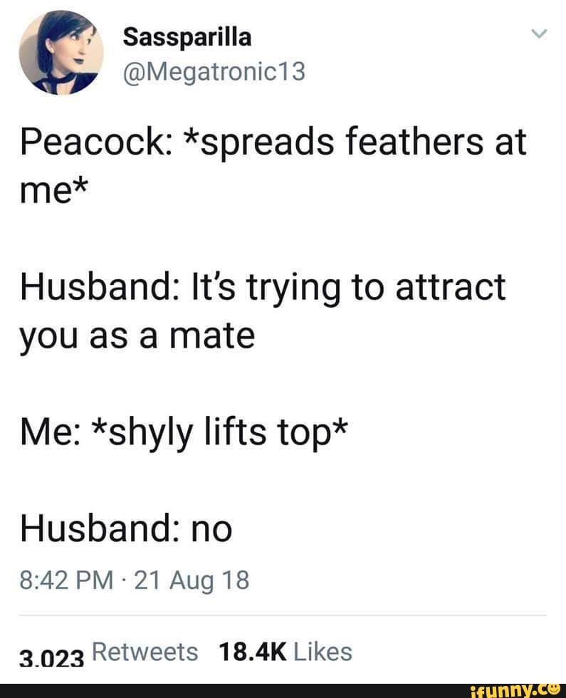 angle - Sassparilla Peacock spreads feathers at me Husband It's trying to attract you as a mate Me shyly lifts top Husband no 21 Aug 18 3.023 ifunny.co