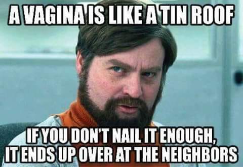 beard - A Vagina Is A Tin Roof If You Don'T Nail It Enough, It Ends Up Over At The Neighbors