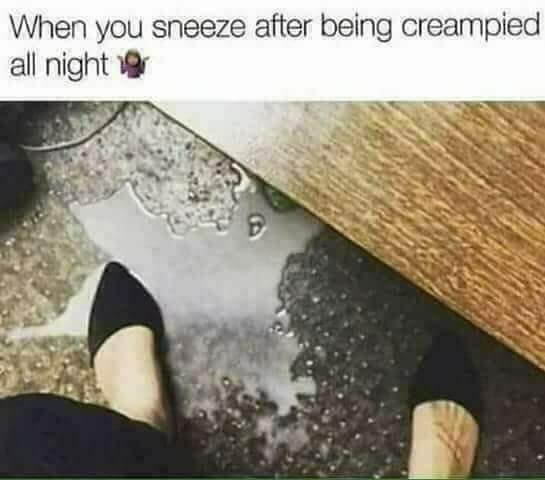 you sneeze after being creampied all night - When you sneeze after being creampied all night ng
