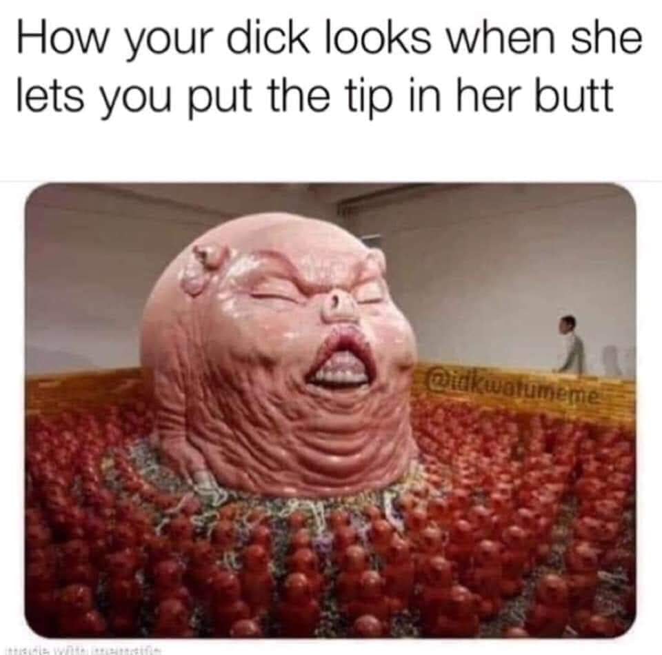 god of materialism - How your dick looks when she lets you put the tip in her butt Qidkwalumemes