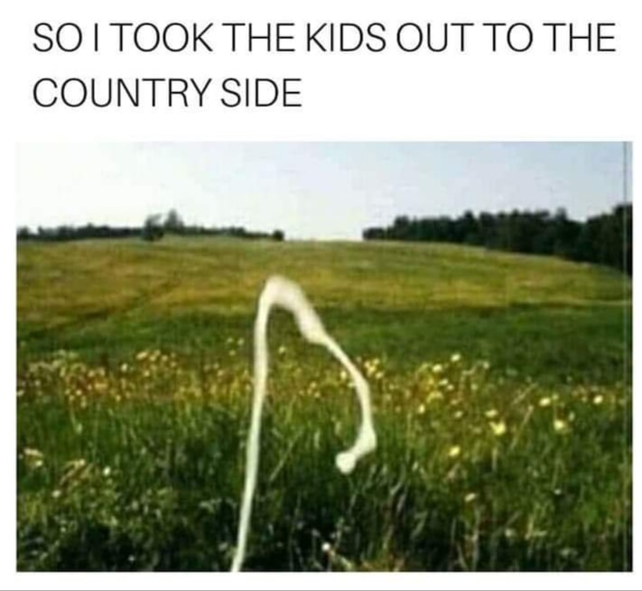 country kids meme - So I Took The Kids Out To The Country Side
