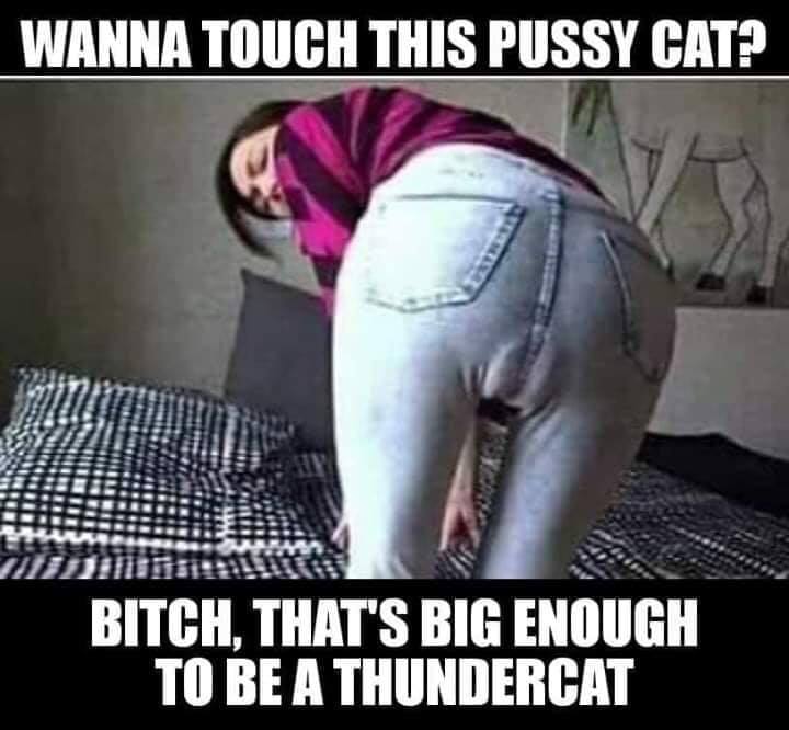 photo caption - Wanna Touch This Pussy Cat? Bitch, That'S Big Enough To Be A Thundercat