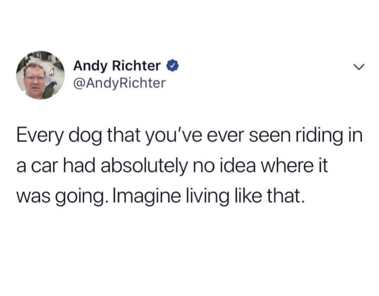 venmo some titty - Andy Richter Richter Every dog that you've ever seen riding in a car had absolutely no idea where it was going. Imagine living that.