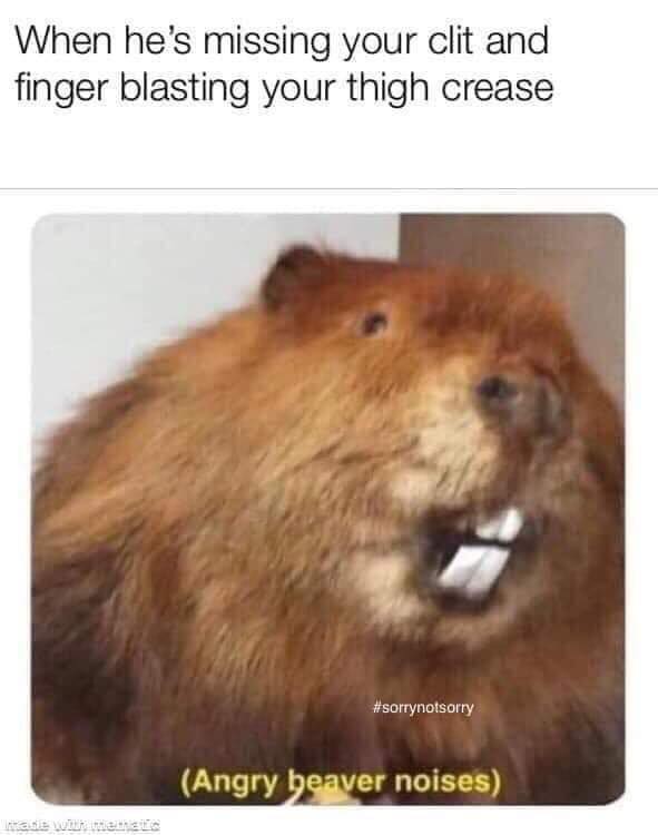 beaver meme - When he's missing your clit and finger blasting your thigh crease Angry beaver noises