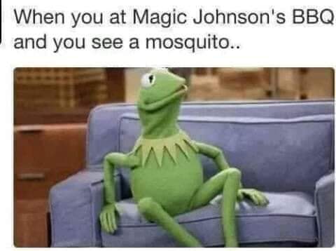 kermit the frog magic johnson meme - When you at Magic Johnson's Bbq and you see a mosquito..