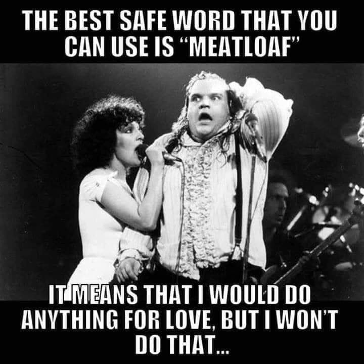 meatloaf safe word meme - The Best Safe Word That You Can Use Is Meatloaf It Means That I Would Do Anything For Love, But I Won'T Do That..