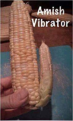 amish vibrator - Amish Vibrator