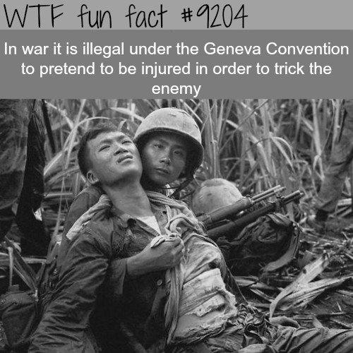 vietnam soldier - Wtf fun fact In war it is illegal under the Geneva Convention to pretend to be injured in order to trick the enemy