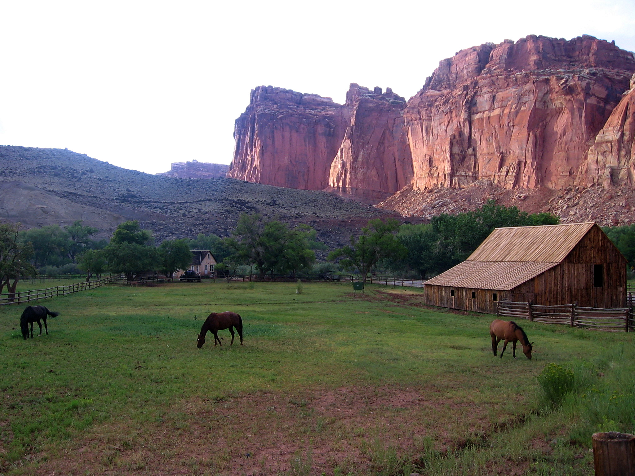 capitol reef national park, fruita barn