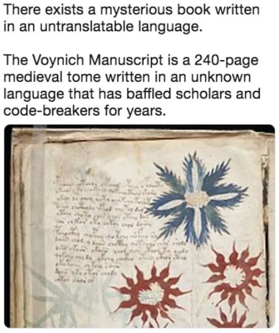 voynich manuscript fake - There exists a mysterious book written in an untranslatable language. The Voynich Manuscript is a 240page medieval tome written in an unknown language that has baffled scholars and codebreakers for years.