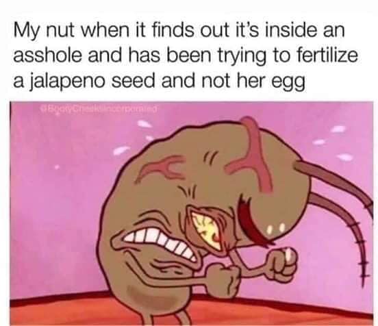 plankton frustrated meme - My nut when it finds out it's inside an asshole and has been trying to fertilize a jalapeno seed and not her egg