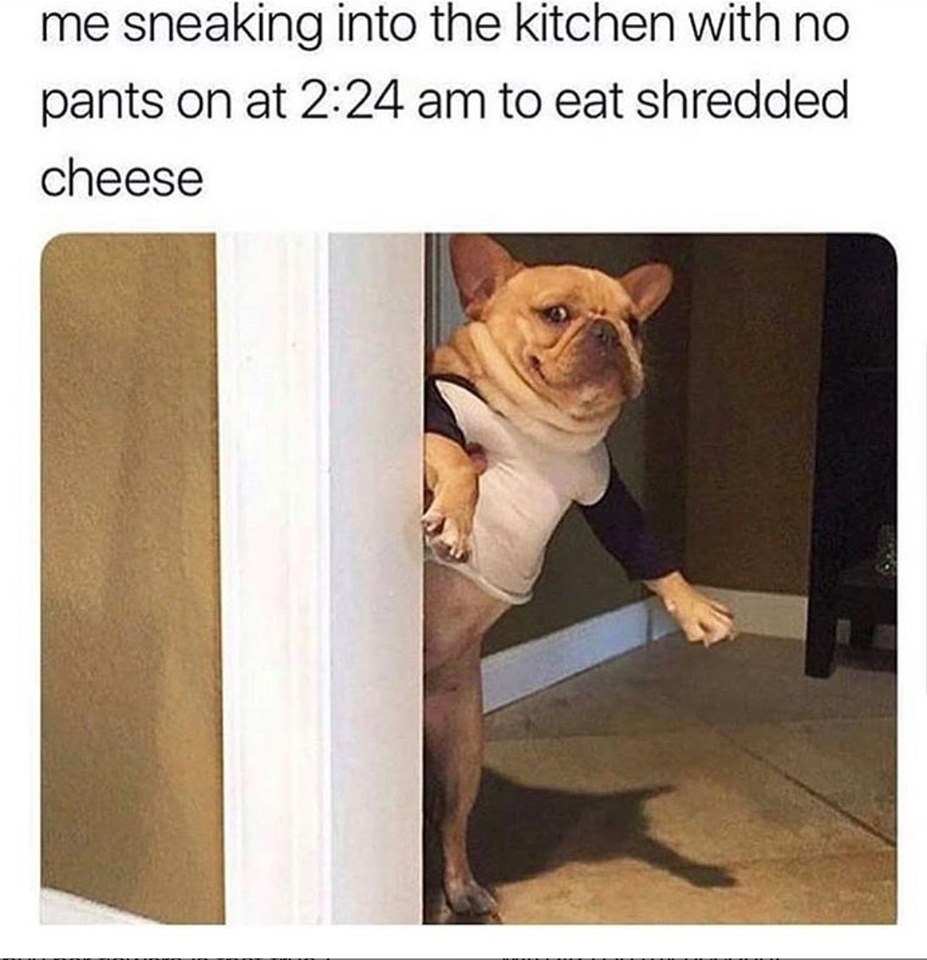 sneaking into the kitchen with no pants - me sneaking into the kitchen with no pants on at to eat shredded cheese