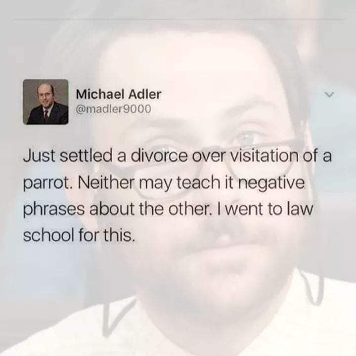 jaw - Michael Adler Just settled a divorce over visitation of a parrot. Neither may teach it negative phrases about the other. I went to law school for this.