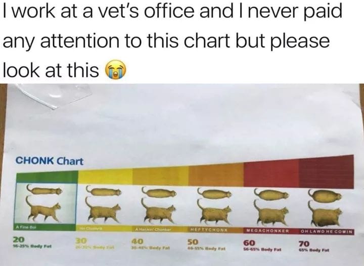 cat chonk scale - I work at a vet's office and I never paid any attention to this chart but please look at this Chonk Chart Af Heftychon Meg A Chonkeroh Lawo He Comin 20 1625 Body Ft 20. 30 30... 40 50 15. 60 70 Sg 70 635 Body Fat Body Full