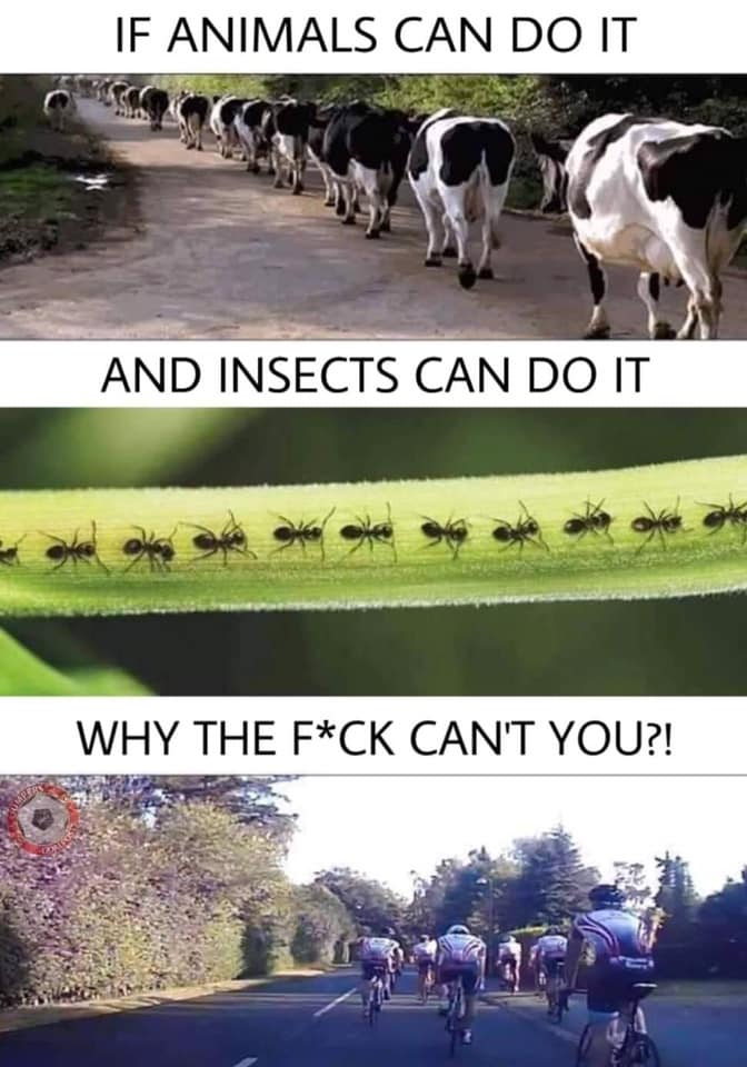 cyclists hate - If Animals Can Do It And Insects Can Do It Why The FCk Can'T You?!