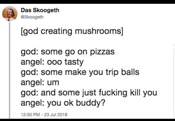 document - Das Skoogeth god creating mushrooms god some go on pizzas angel ooo tasty god some make you trip balls angel um god and some just fucking kill you angel you ok buddy?