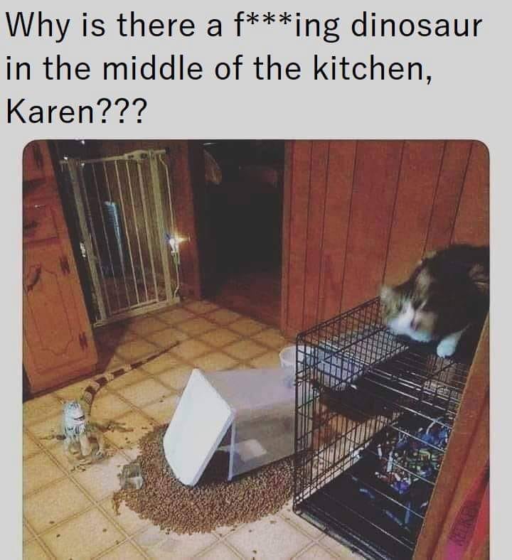 there a fucking dinosaur - Why is there a fing dinosaur in the middle of the kitchen, Karen???