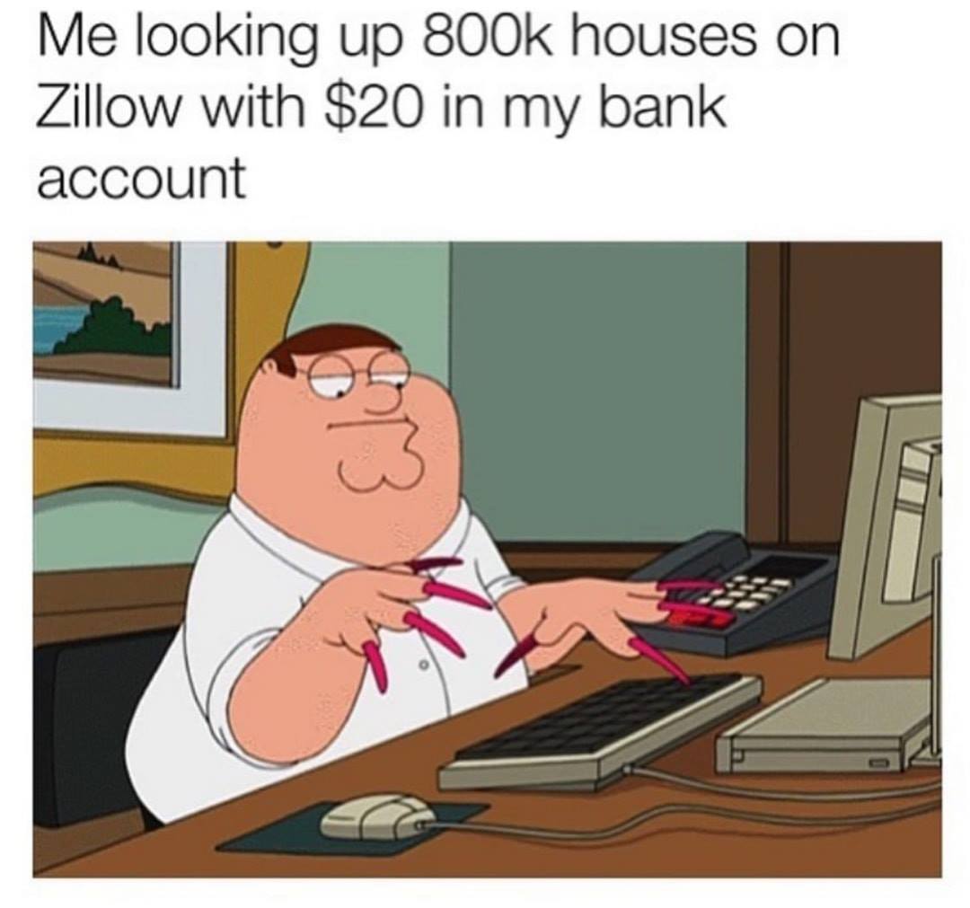 funny pictures to lift your spirits - Me looking up houses on Zillow with $20 in my bank account