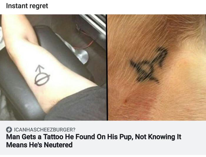 guy gets dog tattoo - Instant regret Icanhascheezburger? Man Gets a Tattoo He Found On His Pup, Not Knowing It Means He's Neutered