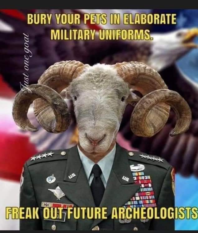 photo caption - Bury Your Pets In Elaborate Military Uniforms. Just one goat Reak Out Future Archeologists
