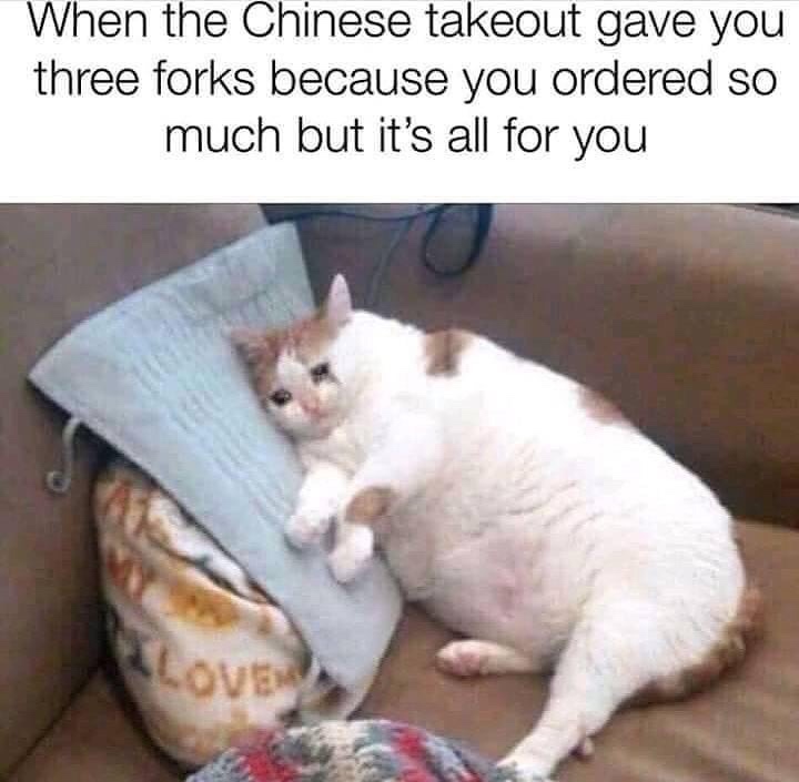 sad reaction memes - When the Chinese takeout gave you three forks because you ordered so much but it's all for you