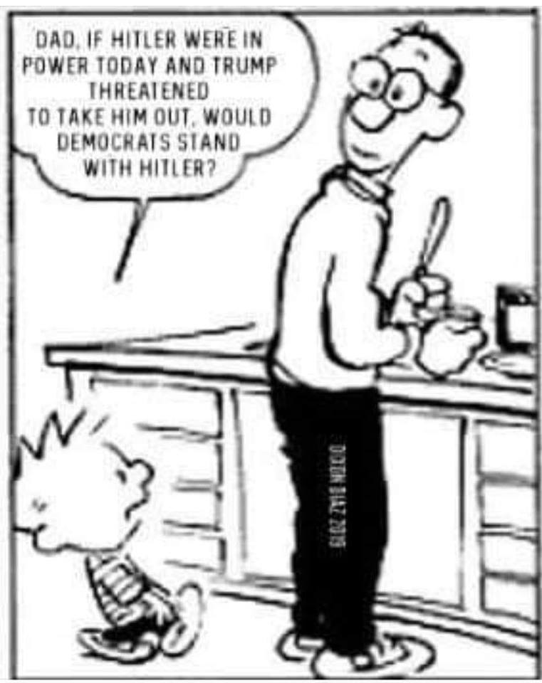 calvin y hobbes dad - Dad. If Hitler Were In Power Today And Trump Threatened To Take Him Out, Would Democrats Stand With Hitler? Siri Zilnico
