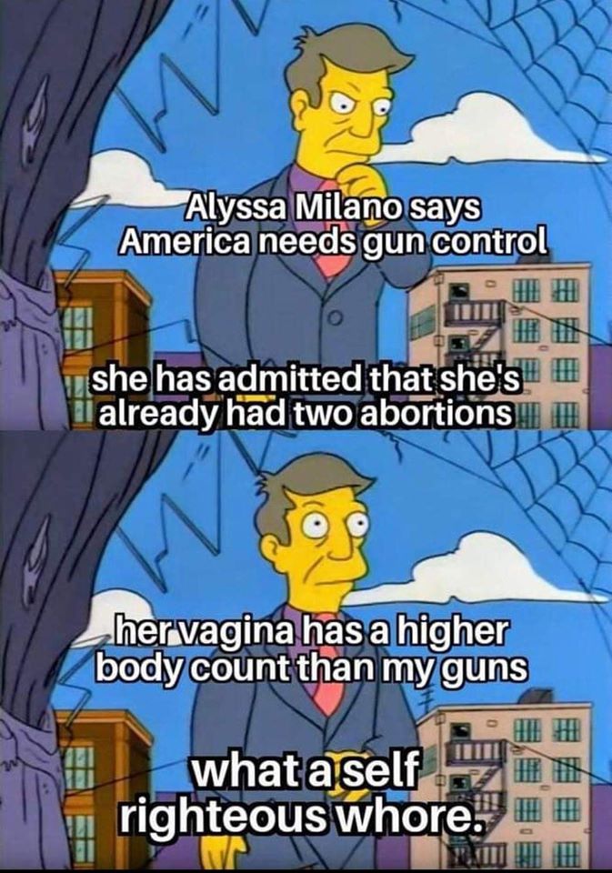 meme skinner - Alyssa Milano says America needs gun control she has admitted that she's i I already had two abortions Lhervagina has a higher body count than my guns 9 what a self righteous whore.