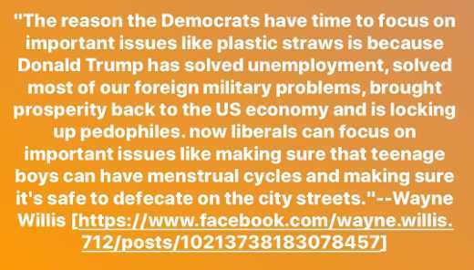 orange - "The reason the Democrats have time to focus on important issues plastic straws is because Donald Trump has solved unemployment, solved most of our foreign military problems, brought prosperity back to the Us economy and is locking up pedophiles.