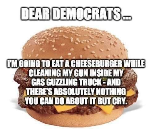 you mean to tell me - Dear Democrats I'M Going To Eat A Cheeseburger While Cleaning My Gun Inside My Gas Guzung TruckAnd There'S Absolutely Nothing You Can Do About It But Cry.