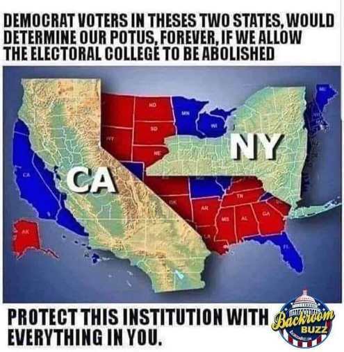 california y new york - Democrat Voters In Theses Two States, Would Determine Our Potus, Forever, If We Allow The Electoral College To Be Abolished Ny Protect This Institution With Backlion Everything In You. Buzz