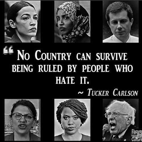 facial expression - No Country Can Survive Being Ruled By People Who Hate It. ~ Tucker Carlson Flyoves Culture